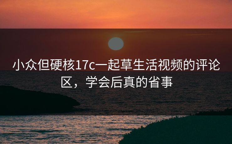 小众但硬核17c一起草生活视频的评论区，学会后真的省事