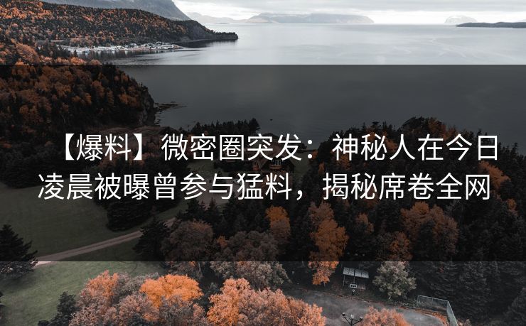 【爆料】微密圈突发：神秘人在今日凌晨被曝曾参与猛料，揭秘席卷全网