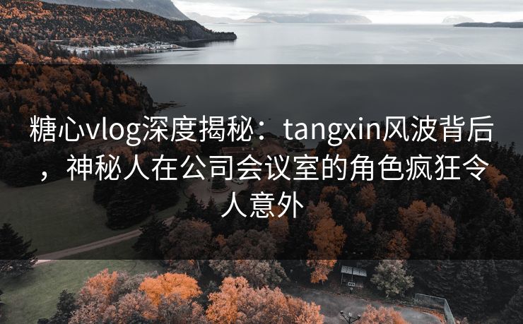 糖心vlog深度揭秘：tangxin风波背后，神秘人在公司会议室的角色疯狂令人意外
