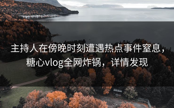 主持人在傍晚时刻遭遇热点事件窒息，糖心vlog全网炸锅，详情发现