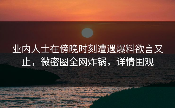 业内人士在傍晚时刻遭遇爆料欲言又止，微密圈全网炸锅，详情围观