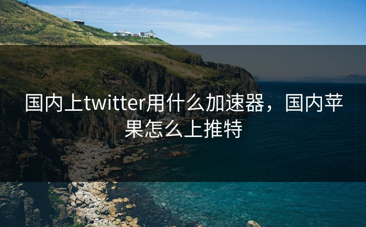 国内上twitter用什么加速器，国内苹果怎么上推特
